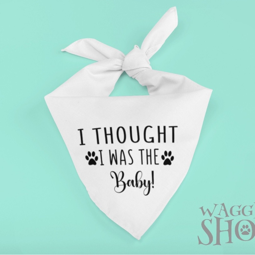 Small White Dog or Cat pregnancy announcement bandana 20 inch